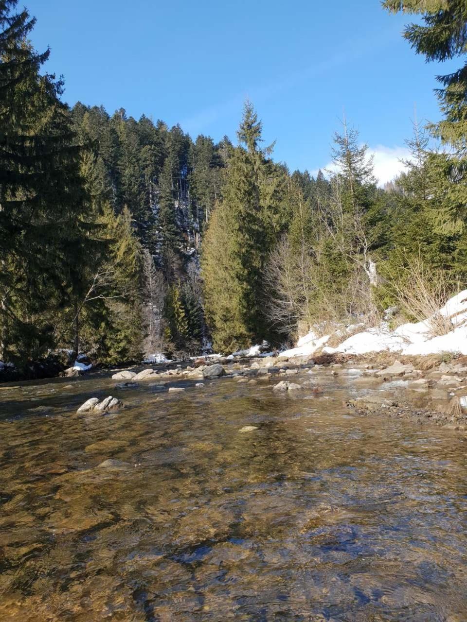 Лісовий Маєток Slavske Dış mekan fotoğraf