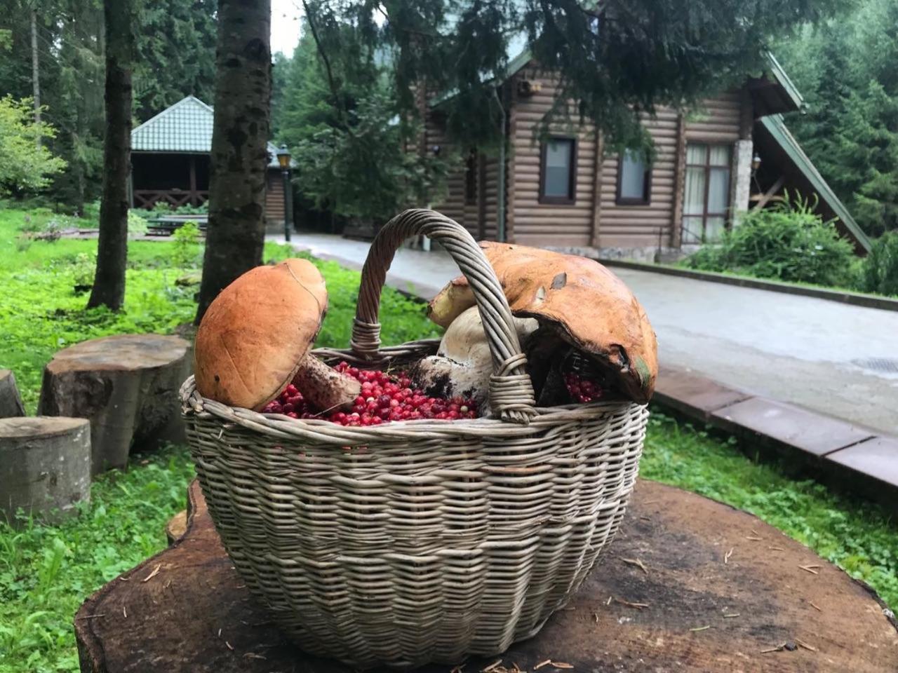 Лісовий Маєток Slavske Dış mekan fotoğraf
