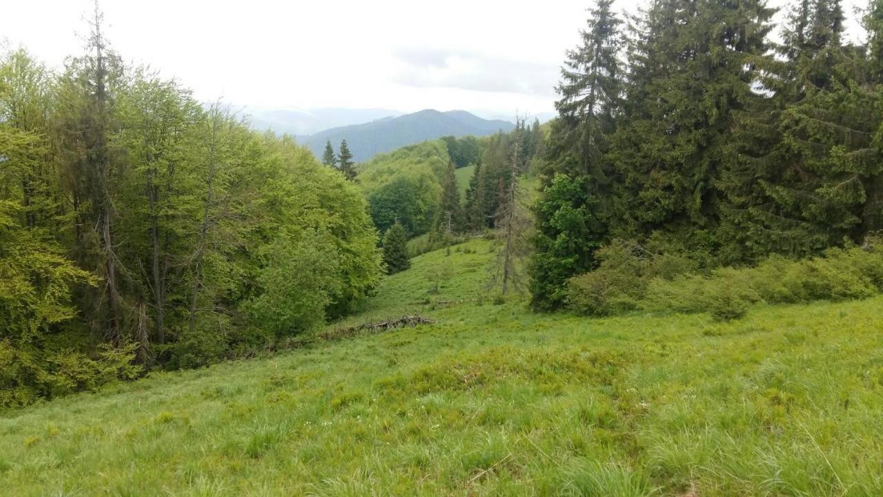 Лісовий Маєток Slavske Dış mekan fotoğraf